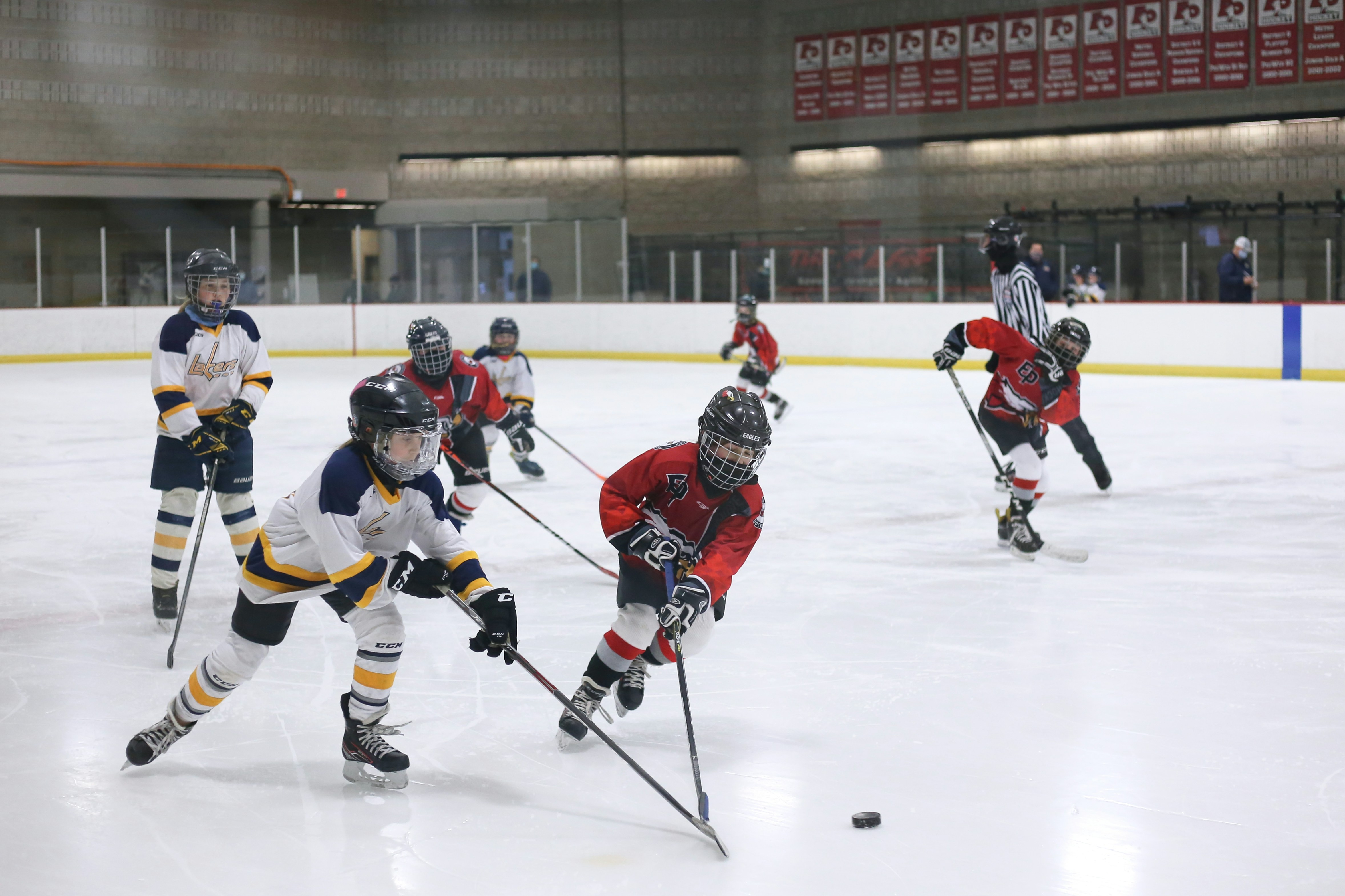 Ice Hockey