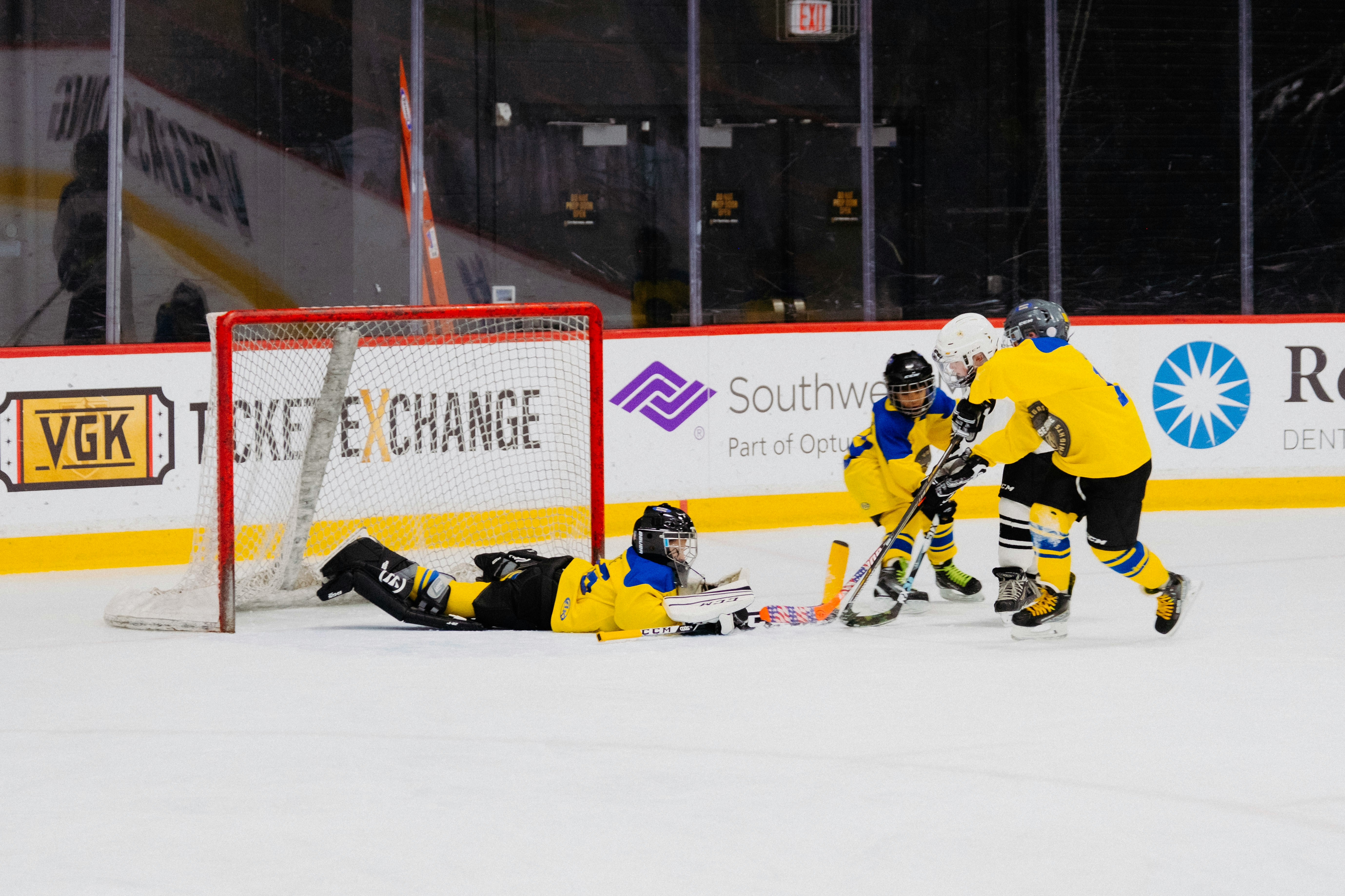Ice Hockey